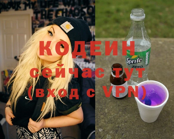 мдпв Каменногорск