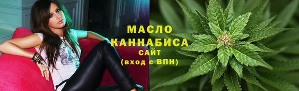 мдпв Каменногорск