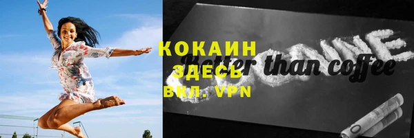 мдпв Каменногорск