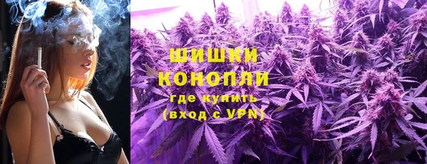 мдпв Каменногорск
