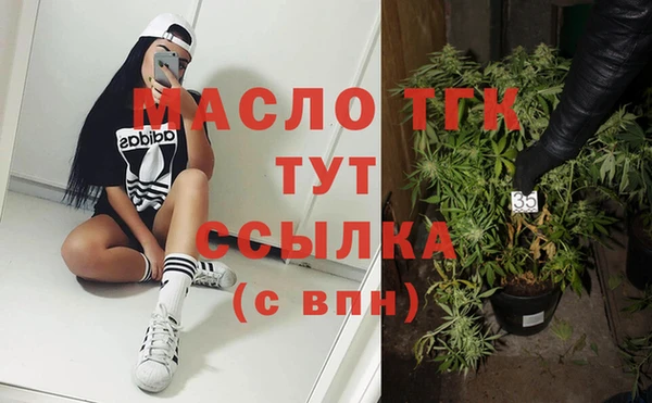мдпв Каменногорск