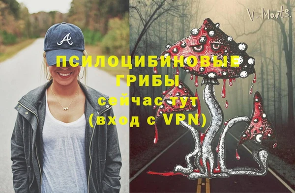 герыч Каменка